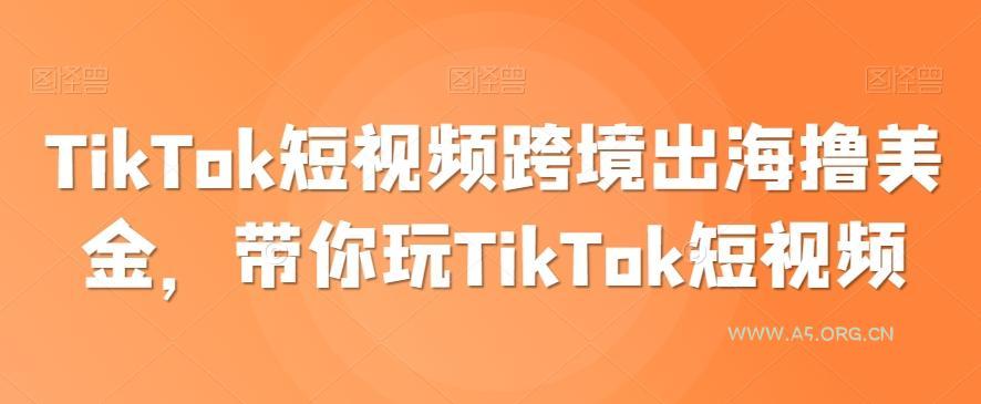 TikTok短视频跨境出海撸美金，带你玩TikTok短视频-351资源网