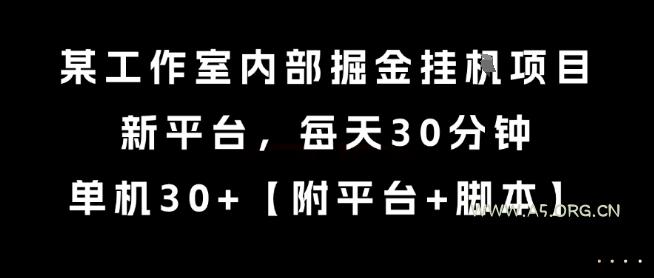某工作室内部掘金挂G项目，新平台，每天30分钟，单机30+【揭秘】-351资源网