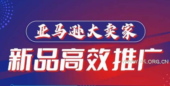 亚马逊大卖家-新品高效推广，​分享如何高效推广，打造百万美金爆款单品-351资源网