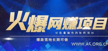 火爆全自动搬砖项目,可批量矩阵操作,爆款落地长期可做【揭秘】-351资源网
