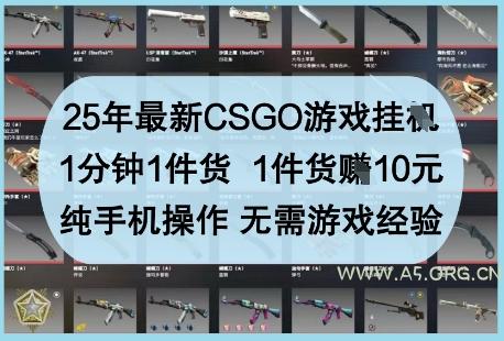 25年最新CSGO游戏挂G，1分钟1件货，1件货挣10元，纯手机操作，无需游戏经验【揭秘】-351资源网