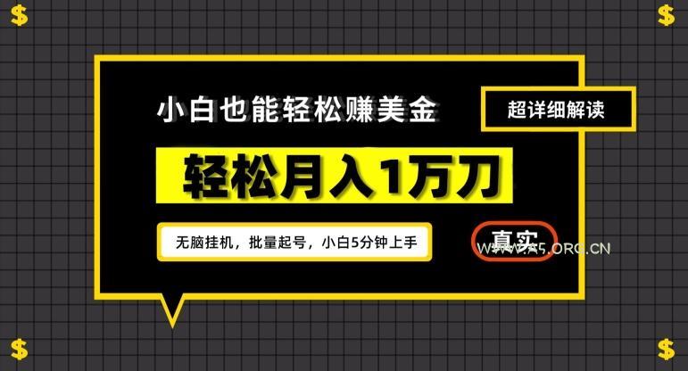 谷歌看广告撸美金2.0,无脑挂机,多号操作,月入1万刀【揭秘】-351资源网
