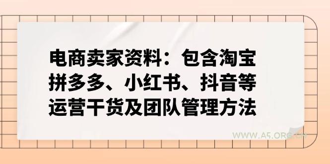 电商卖家资料：包含淘宝、拼多多、小红书、抖音等运营干货及团队管理方法-351资源网