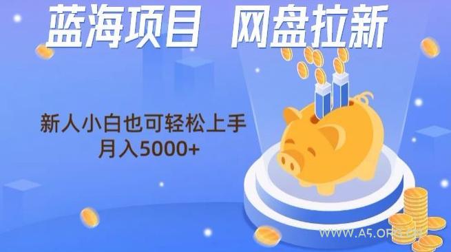 蓝海项目网盘拉新,新人小白也可操作,每月收入5000+-351资源网