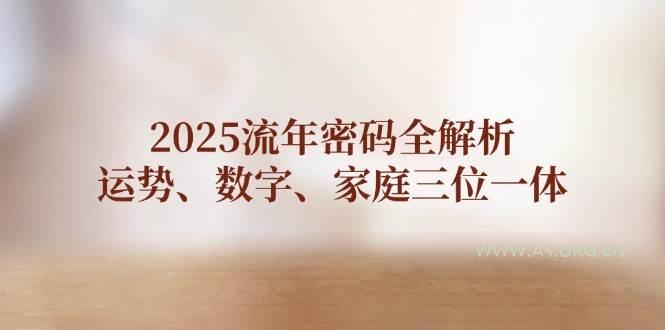 2025流年密码全解析，运势、数字、家庭三位一体-351资源网