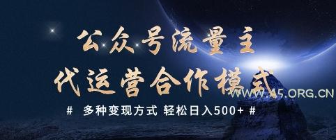 公众号流量主代运营  多种变现方式 轻松日入5张【揭秘】-351资源网