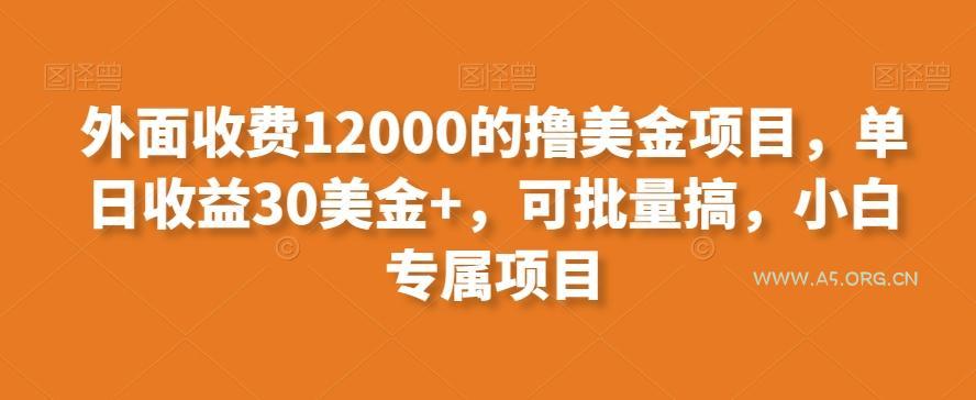 外面收费12000的撸美金项目，单日收益30美金+，可批量搞，小白专属项目-351资源网