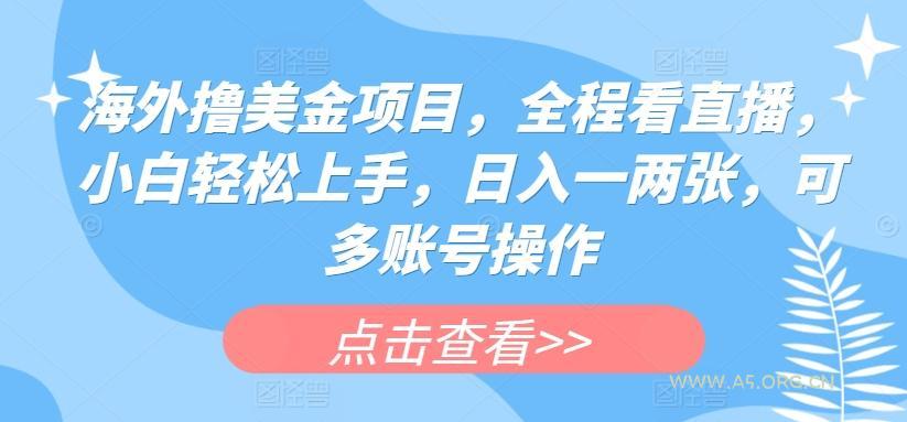 海外撸美金项目，全程看直播，小白轻松上手，日入一两张，可多账号操作【揭秘】-351资源网