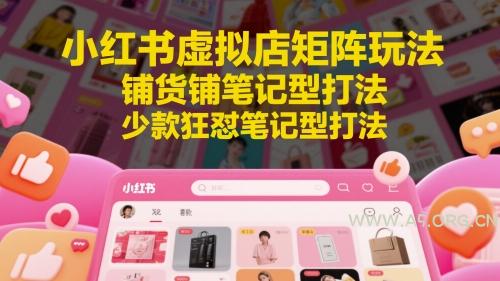 小红书虚拟店矩阵玩法，铺货铺笔记型打法，少款狂怼笔记型打法(更新)-351资源网