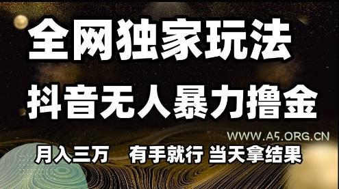 全网独家玩法抖音无人暴力撸金，月入3W，有手就行，当天拿结果【揭秘】-351资源网