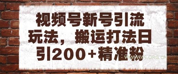 视频号新号引流玩法，搬运打法日引200+精准粉，可矩阵放大【揭秘】-351资源网