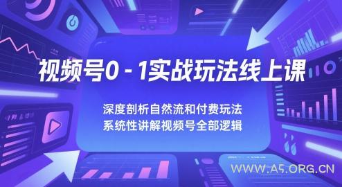 视频号0-1实战玩法线上课，深度剖析自然流和付费玩法，统性讲解视频号全部逻辑-351资源网