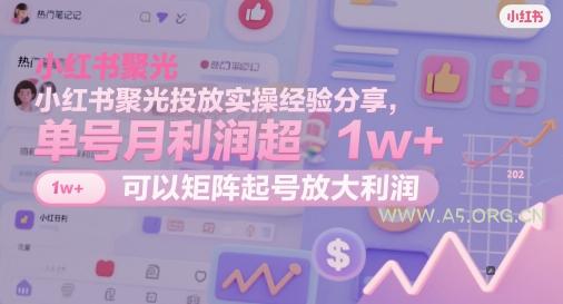 小红书聚光投放实操经验分享,单号月利润超1w+,可以矩阵起号放大利润-351资源网