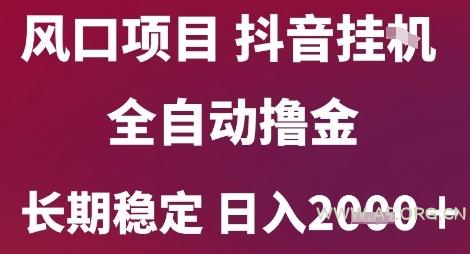 风口项目，六月最新玩法抖音无人挂G，全自动撸金，长期稳定 日入2k+【揭秘】-351资源网
