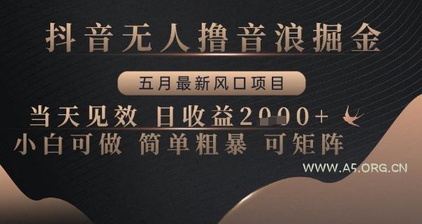 抖音无人撸音浪掘金，五月最新风口项目，当天见效，日收益多张，小白可做简单粗暴可矩阵【揭秘】-351资源网