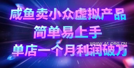 咸鱼卖小众虚拟产品，简单易上手，单店一个月利润破W-351资源网