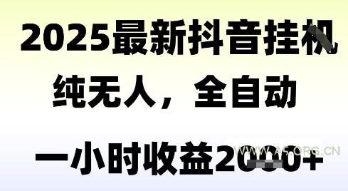 独家抖音无人撸礼物，全自动纯无人，长期稳定 一个小时收益2k+，小白当天拿结果【揭秘】-351资源网
