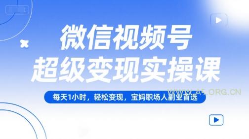 微信视频号超级变现实操课，每天1小时，轻松变现，宝妈职场人副业首选-351资源网