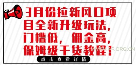 3月份拉新风口项目全新升级玩法，门槛低，佣金高，保姆级干货教程-351资源网