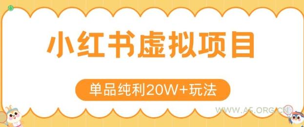 小红书卖虚拟产品，单品纯利20W+玩法分享，4节系列课程-351资源网