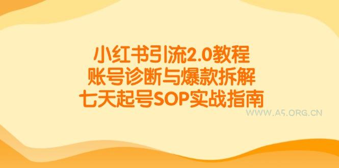 小红书引流2.0教程，账号诊断与爆款拆解，七天起号SOP实战指南-351资源网