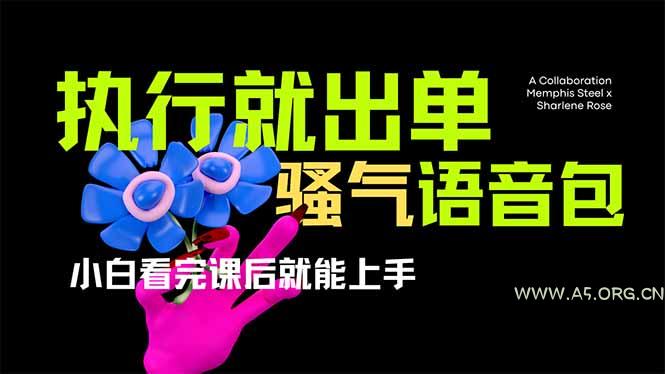 爆火全网的开车导航骚气语音包,只要执行就出单，小白看完课程就能实操...-351资源网
