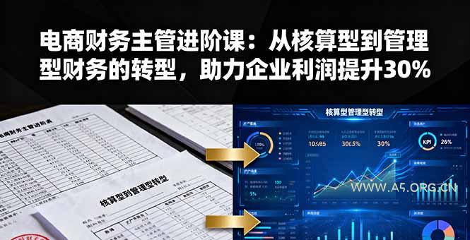 电商财务主管进阶课：从核算型到管理型财务的转型，助力企业利润提升30%-351资源网