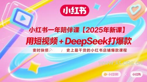 小红书一年陪伴课【2025年新课】，用短视频+deepSeek打爆款，史上最干货的小红书店铺爆款课程-351资源网