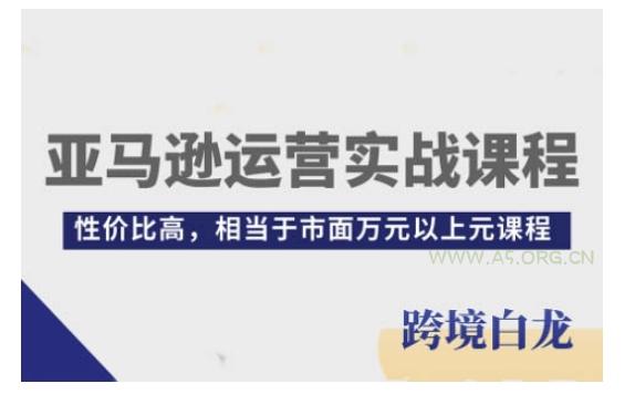 亚马逊运营实战课程，亚马逊从入门到精通，性价比高，相当于市面万元以上元课程-351资源网