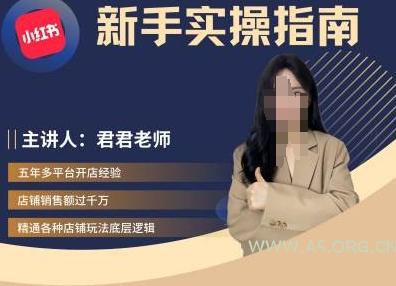君君-小红书电商从入门到精通，新手实操指南-351资源网