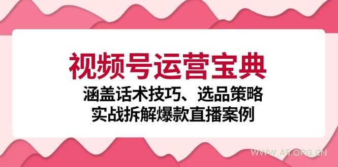 视频号运营宝典：涵盖话术技巧、选品策略、实战拆解爆款直播案例-351资源网