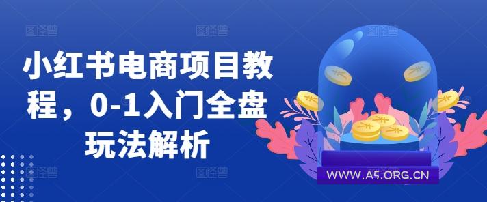 小红书电商项目教程，0-1入门全盘玩法解析-351资源网