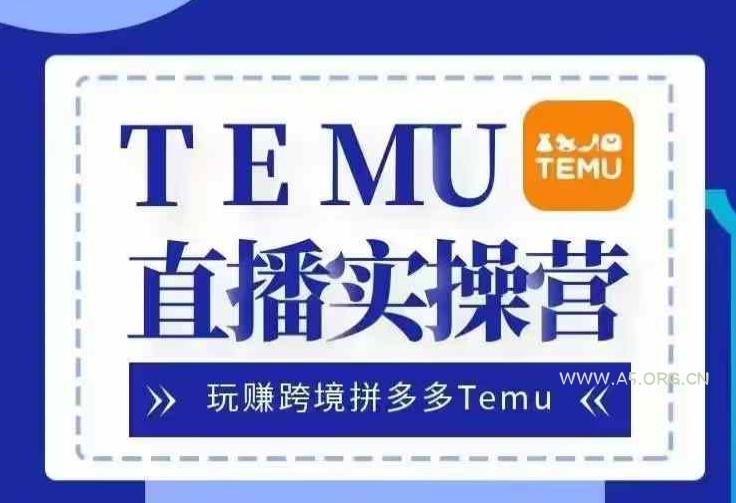 Temu直播实战营，玩赚跨境拼多多Temu，国内电商卷就出海赚美金-351资源网