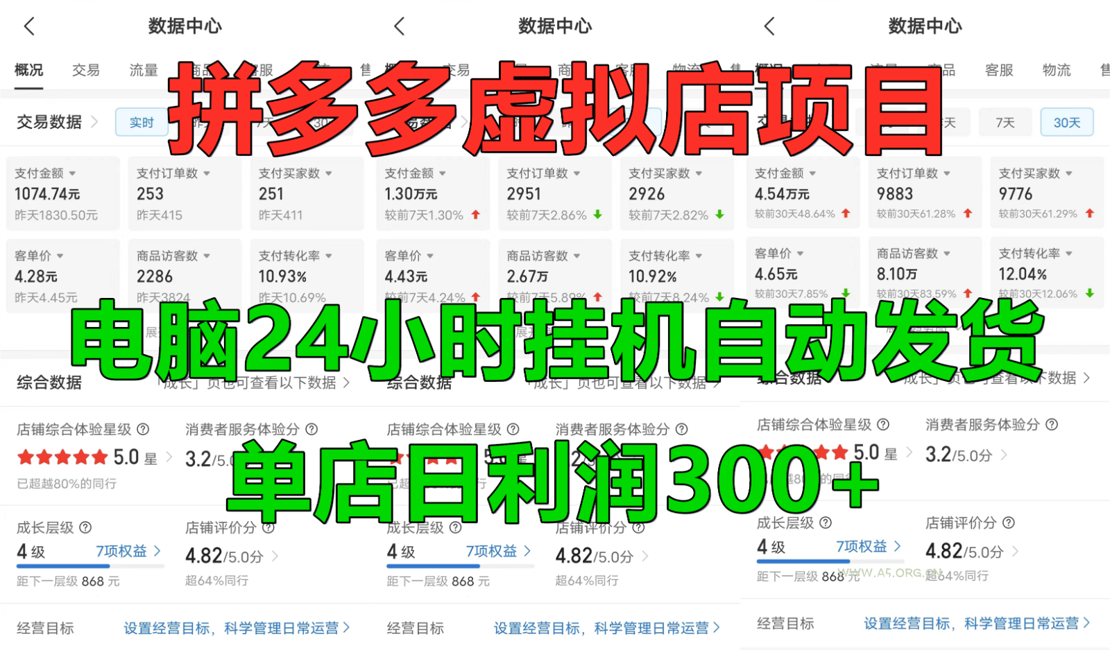 拼多多虚拟店铺项目,电脑挂机自动发货,单店日利润300+-351资源网