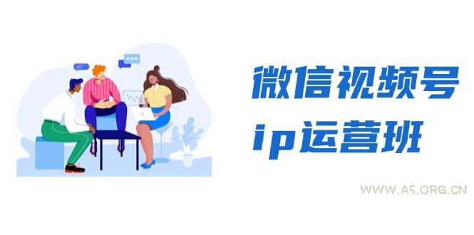 微信视频号ip运营班：特邀分享+CEO直播+精英分享，揭秘视频号变现秘诀-351资源网