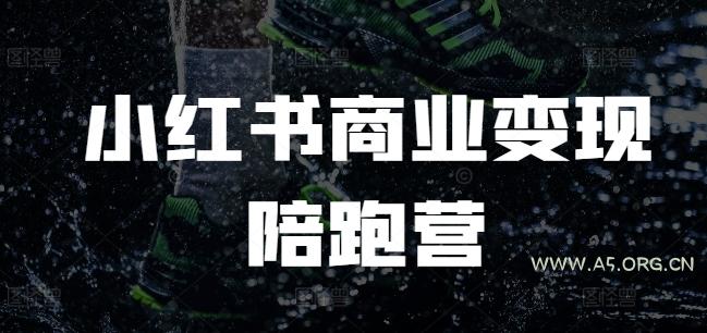 小红书商业变现陪跑营，小红书电商教程-351资源网
