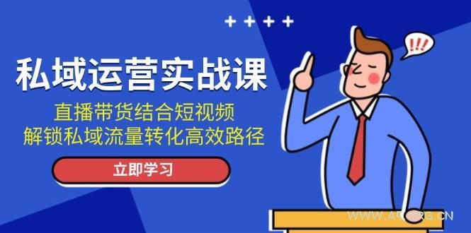 私域运营实战课：直播带货结合短视频，解锁私域流量转化高效路径-351资源网