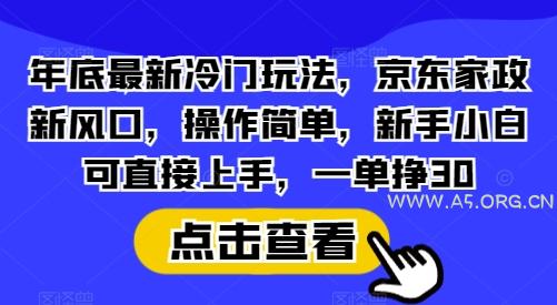 年底最新冷门玩法，京东家政新风口，操作简单，新手小白可直接上手，一单挣30【揭秘】-351资源网
