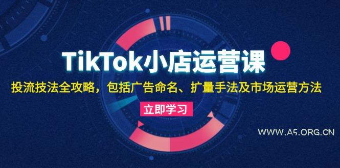 TikTok小店运营课：投流技法全攻略，包括广告命名 扩量手法及市场运营方法-351资源网