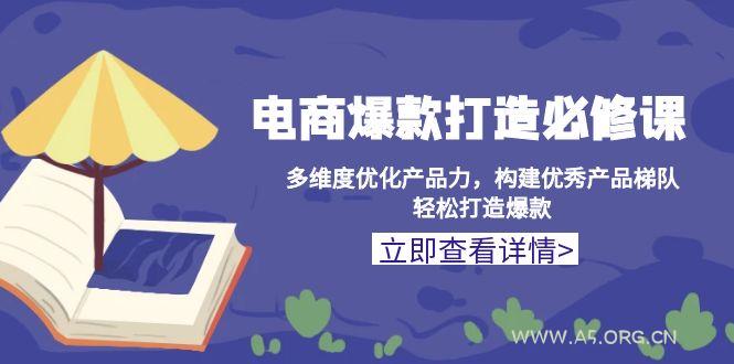 电商爆款打造必修课：多维度优化产品力，构建优秀产品梯队，轻松打造爆款-351资源网