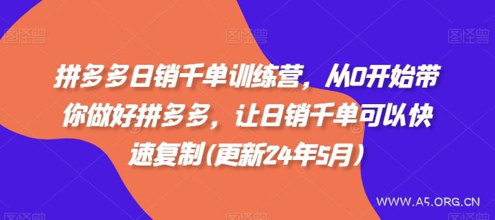拼多多日销千单训练营，从0开始带你做好拼多多，让日销千单可以快速复制(更新24年11月)-351资源网