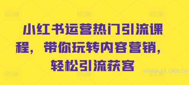 小红书运营热门引流课程，带你玩转内容营销，轻松引流获客-351资源网
