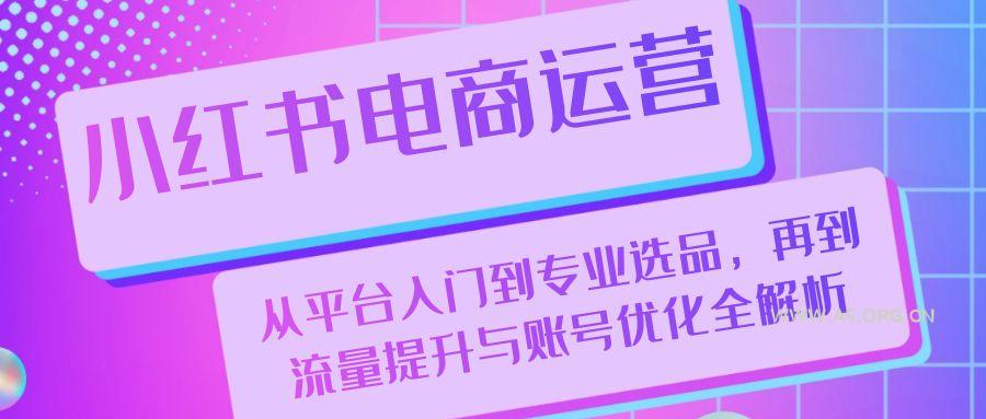 小红书电商运营：从平台入门到专业选品，再到流量提升与账号优化全解析-351资源网