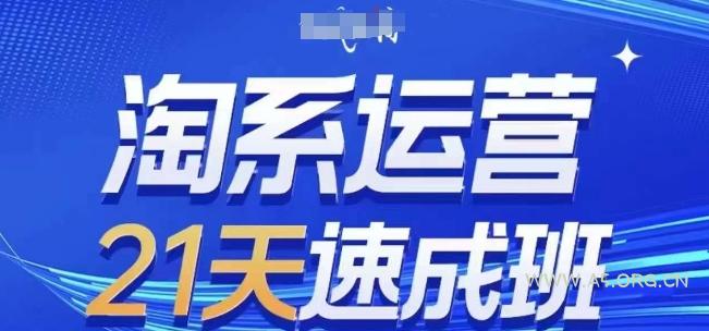 淘系运营21天速成班(更新24年11月)，0基础轻松搞定淘系运营，不做假把式-351资源网