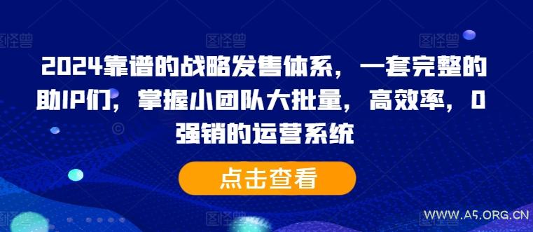 2024靠谱的战略发售体系,一套完整的助IP们,掌握小团队大批量,高效率,0 强销的运营系统-351资源网