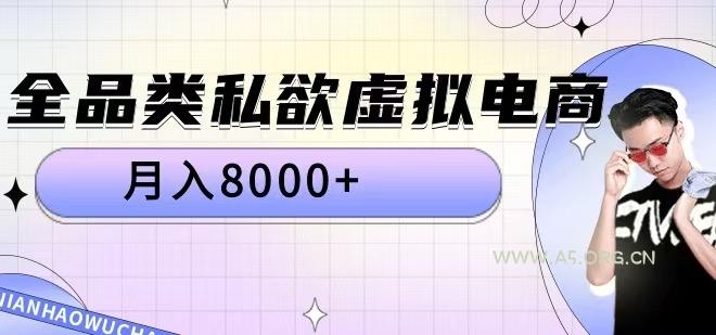 全品类私欲虚拟电商，月入8000+【揭秘】-351资源网