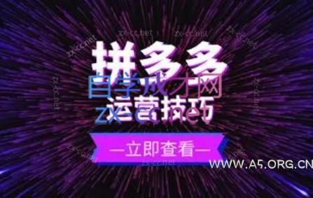 力辛电商·拼多多强付费店群玩法-351资源网
