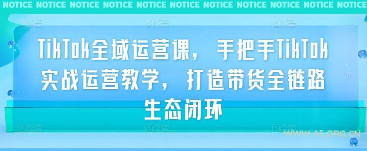 TikTok全域运营课，手把手TikTok实战运营教学，打造带货全链路生态闭环-351资源网