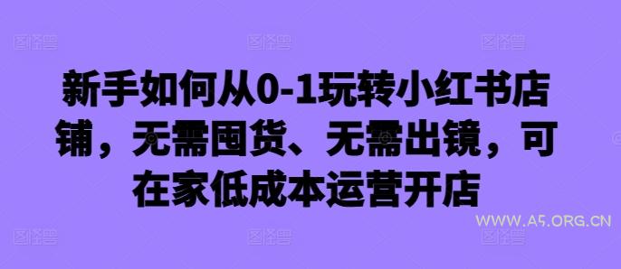 新手如何从0-1玩转小红书店铺，无需囤货、无需出镜，可在家低成本运营开店-351资源网