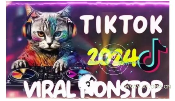 Tiktok东南亚小店运营,TK跨境小店教程让学员能快速掌握实用的运营技巧-351资源网